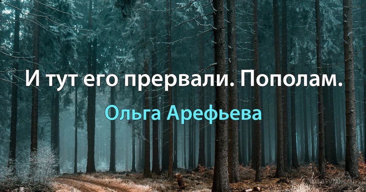 И тут его прервали. Пополам. (Ольга Арефьева)