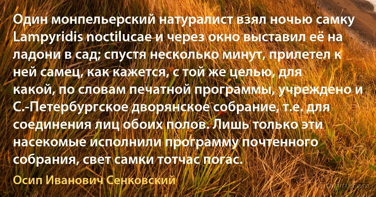 Один монпельерский натуралист взял ночью самку Lampyridis noctilucae и через окно выставил её на ладони в сад; спустя несколько минут, прилетел к ней самец, как кажется, с той же целью, для какой, по словам печатной программы, учреждено и С.-Петербургское дворянское собрание, т.е. для соединения лиц обоих полов. Лишь только эти насекомые исполнили программу почтенного собрания, свет самки тотчас погас. (Осип Иванович Сенковский)