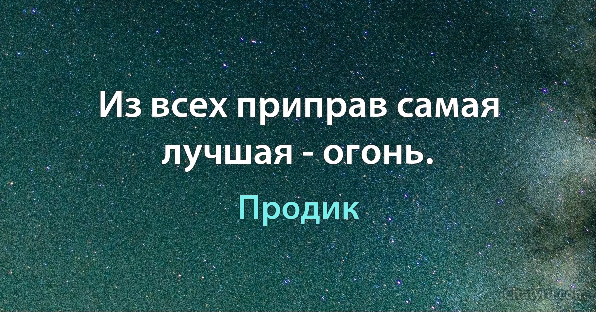 Из всех приправ самая лучшая - огонь. (Продик)