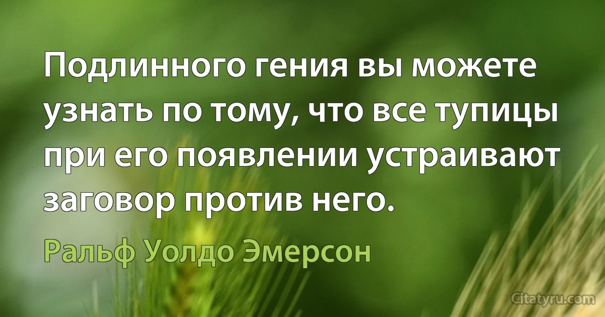 Подлинного гения вы можете узнать по тому, что все тупицы при его появлении устраивают заговор против него. (Ральф Уолдо Эмерсон)