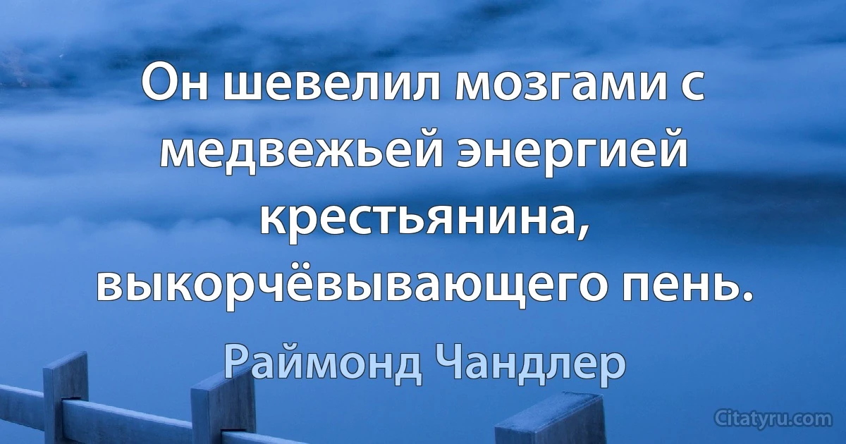 Он шевелил мозгами с медвежьей энергией крестьянина, выкорчёвывающего пень. (Раймонд Чандлер)