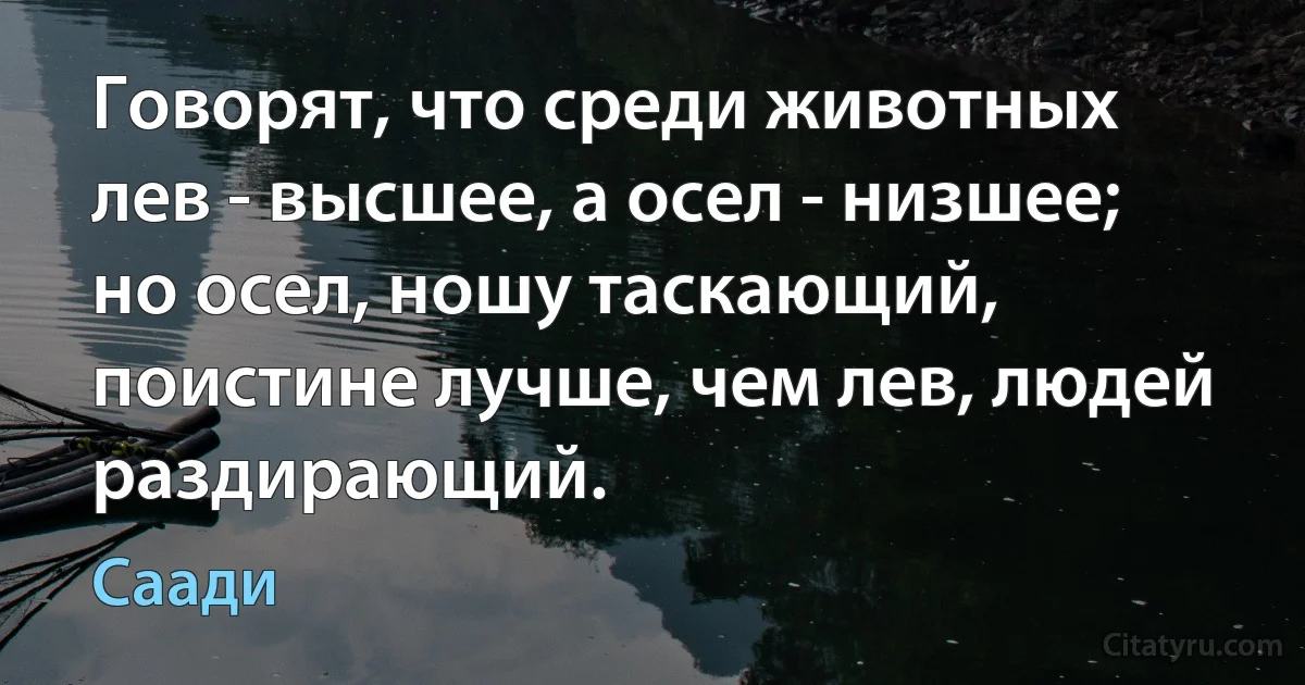 Говорят, что среди животных лев - высшее, а осел - низшее; но осел, ношу таскающий, поистине лучше, чем лев, людей раздирающий. (Саади)