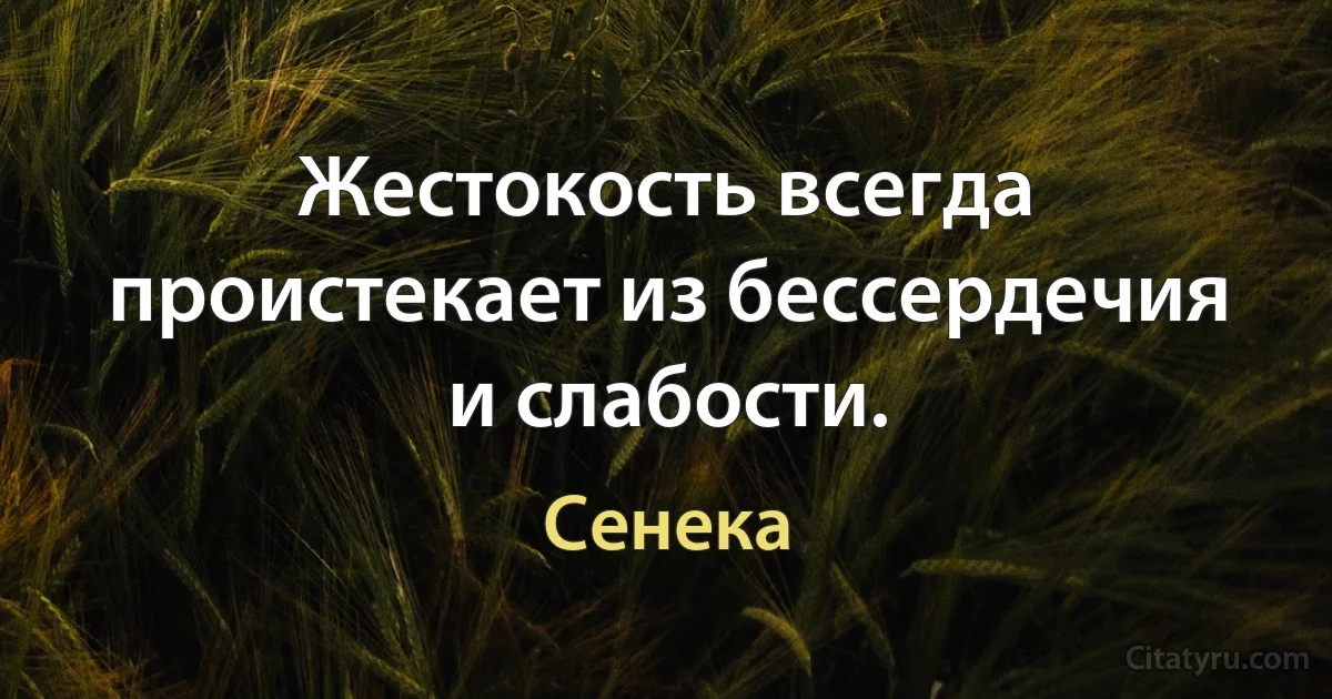 Жестокость всегда проистекает из бессердечия и слабости. (Сенека)