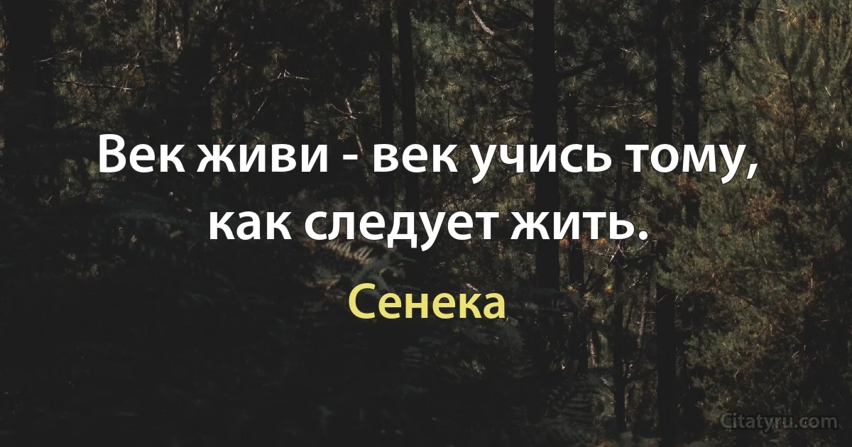 Век живи - век учись тому, как следует жить. (Сенека)