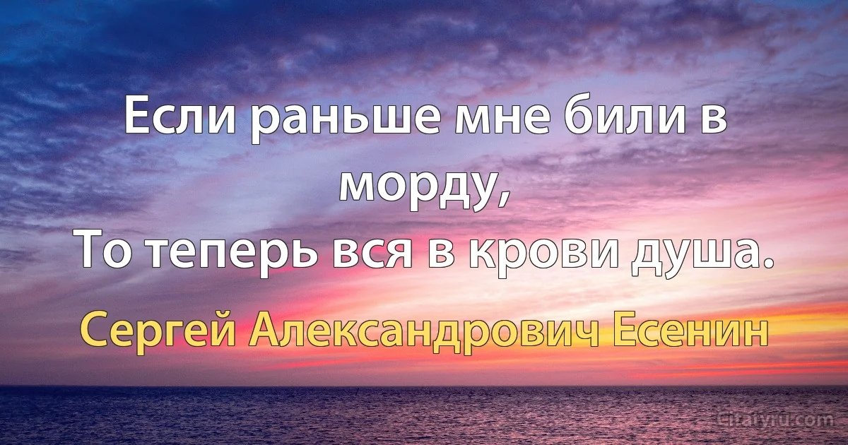 Если раньше мне били в морду,
То теперь вся в крови душа. (Сергей Александрович Есенин)