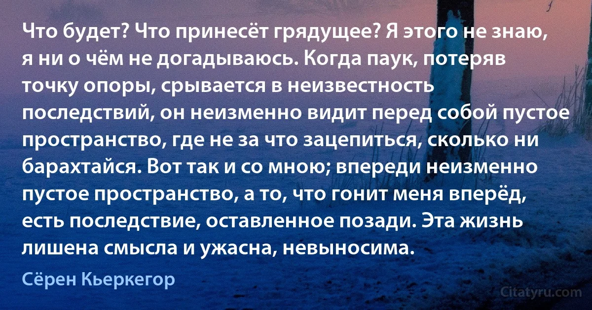 Что будет? Что принесёт грядущее? Я этого не знаю, я ни о чём не догадываюсь. Когда паук, потеряв точку опоры, срывается в неизвестность последствий, он неизменно видит перед собой пустое пространство, где не за что зацепиться, сколько ни барахтайся. Вот так и со мною; впереди неизменно пустое пространство, а то, что гонит меня вперёд, есть последствие, оставленное позади. Эта жизнь лишена смысла и ужасна, невыносима. (Сёрен Кьеркегор)