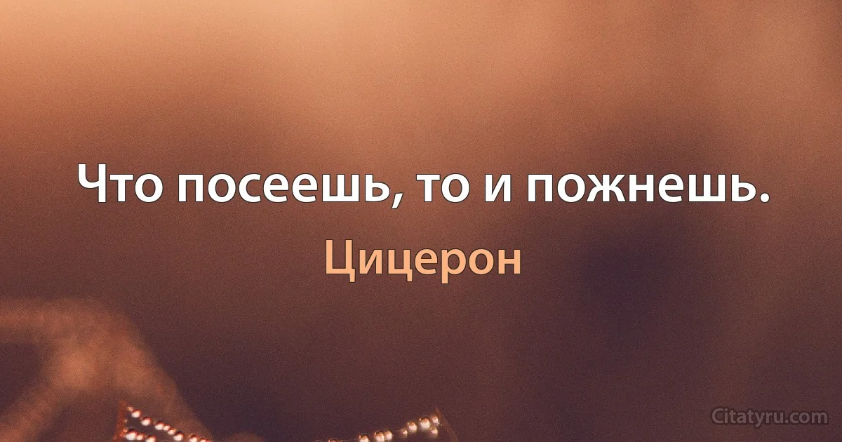 Что посеешь, то и пожнешь. (Цицерон)