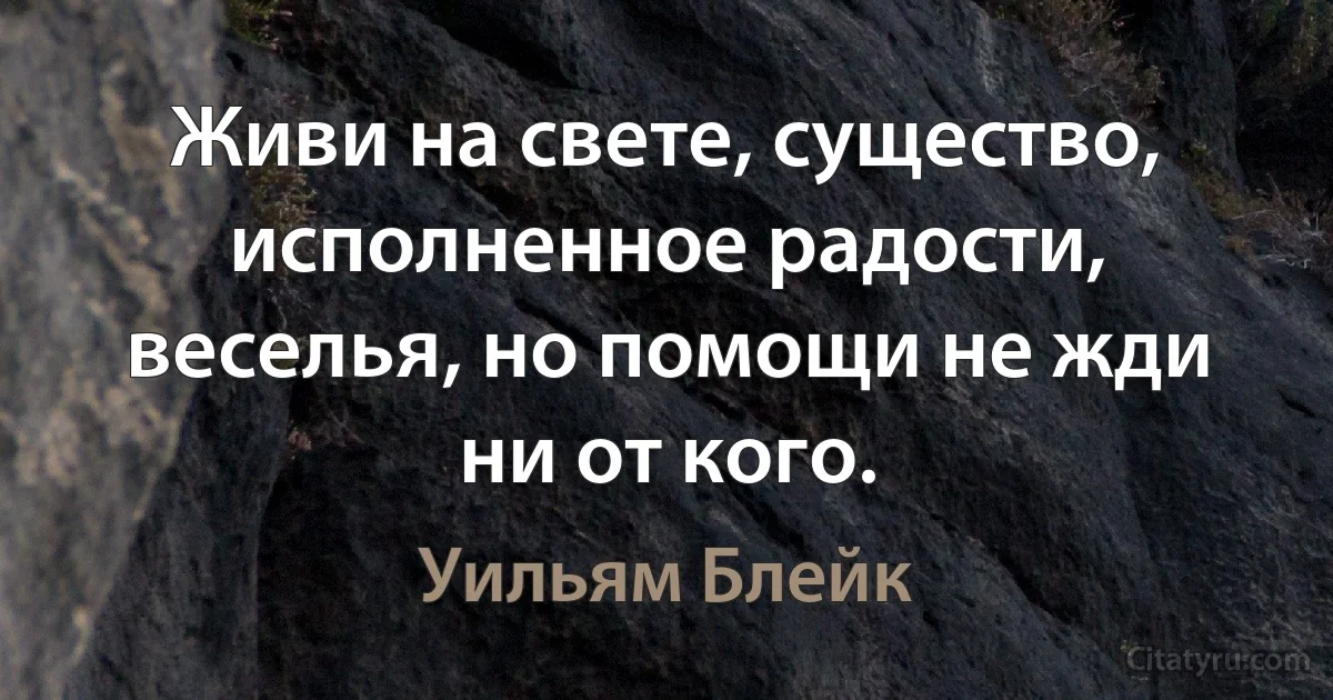 Живи на свете, существо, исполненное радости, веселья, но помощи не жди ни от кого. (Уильям Блейк)