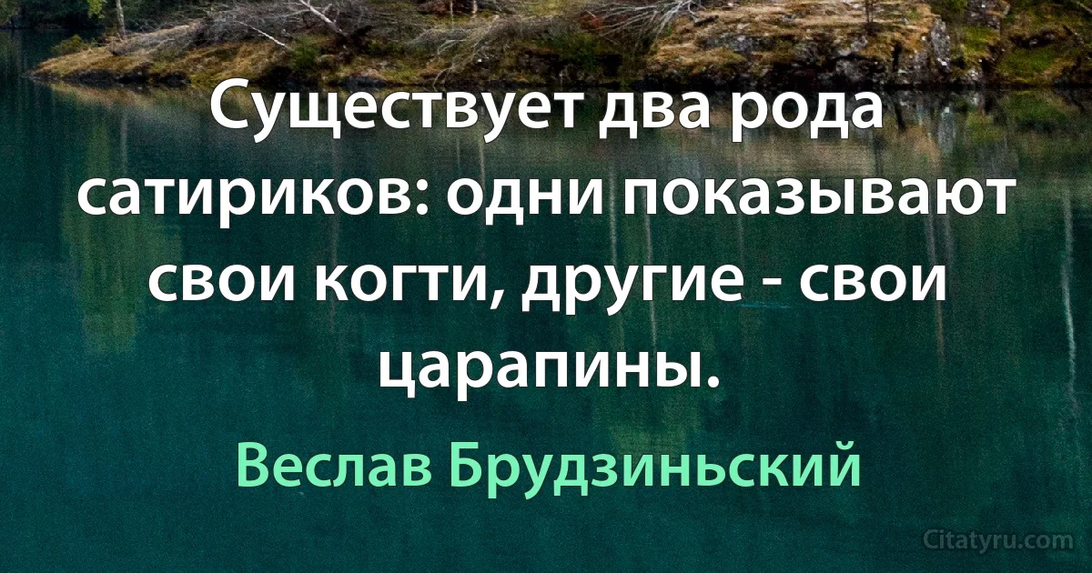 Существует два рода сатириков: одни показывают свои когти, другие - свои царапины. (Веслав Брудзиньский)