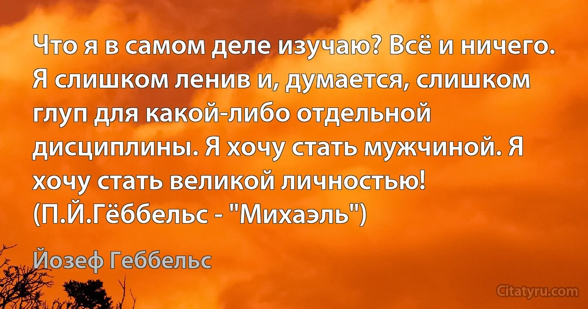 Что я в самом деле изучаю? Всё и ничего. Я слишком ленив и, думается, слишком глуп для какой-либо отдельной дисциплины. Я хочу стать мужчиной. Я хочу стать великой личностью! (П.Й.Гёббельс - "Михаэль") (Йозеф Геббельс)