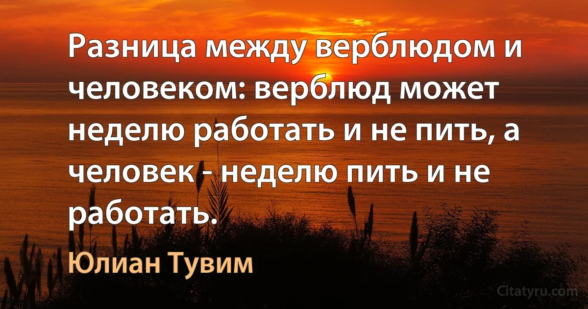 Разница между верблюдом и человеком: верблюд может неделю работать и не пить, а человек - неделю пить и не работать. (Юлиан Тувим)