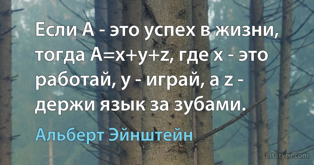 Если А - это успех в жизни, тогда А=x+y+z, где x - это работай, y - играй, а z - держи язык за зубами. (Альберт Эйнштейн)