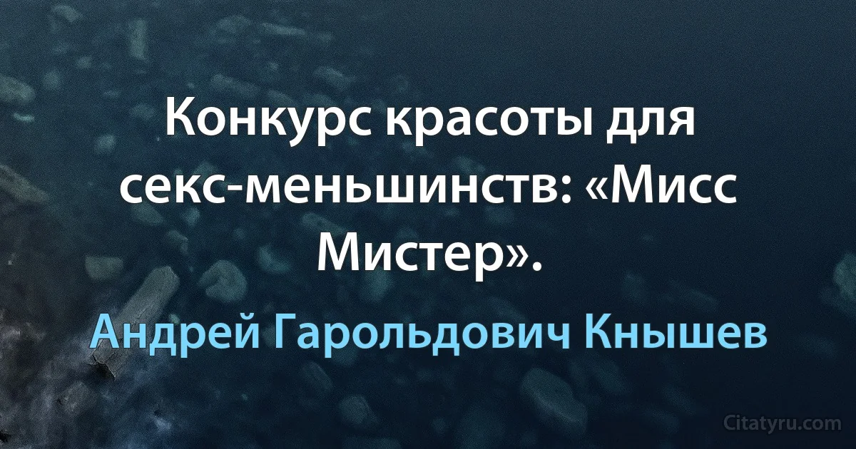 Конкурс красоты для секс-меньшинств: «Мисс Мистер». (Андрей Гарольдович Кнышев)