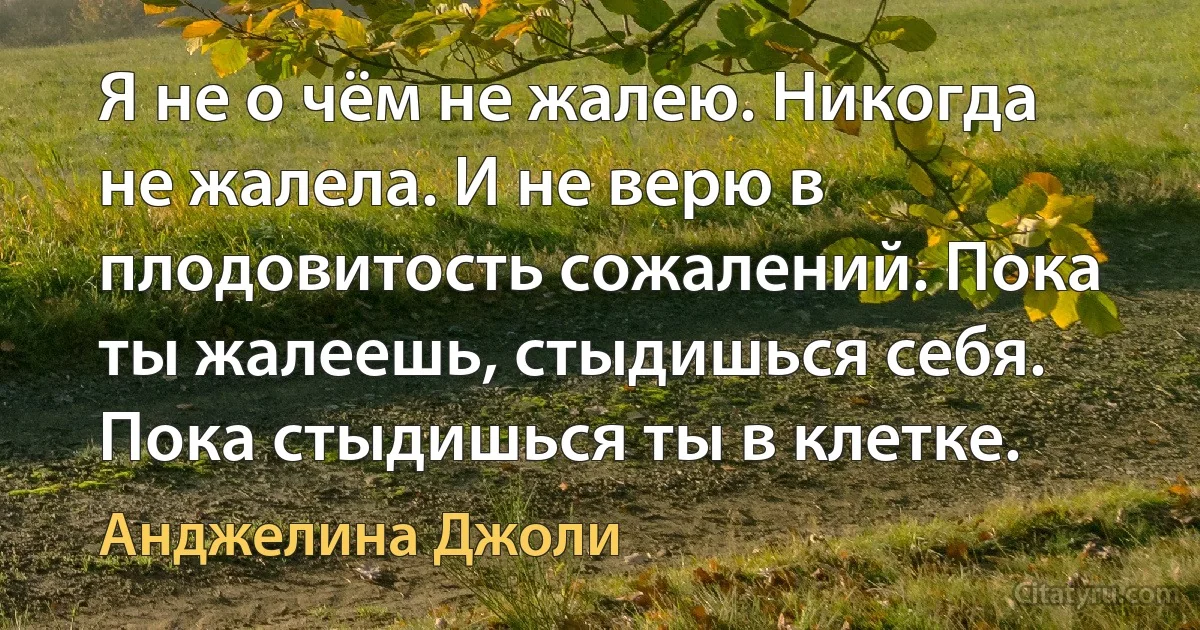 Я не о чём не жалею. Никогда не жалела. И не верю в плодовитость сожалений. Пока ты жалеешь, стыдишься себя. Пока стыдишься ты в клетке. (Анджелина Джоли)