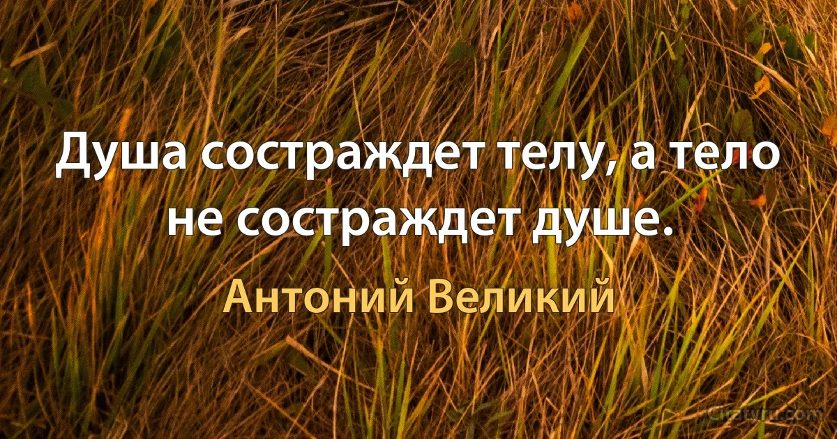 Душа состраждет телу, а тело не состраждет душе. (Антоний Великий)