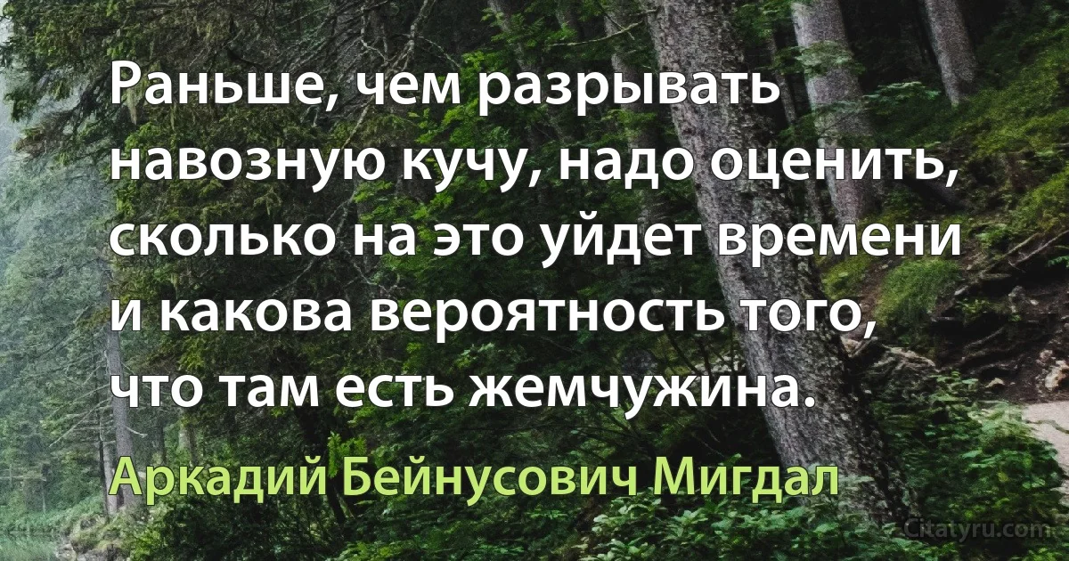 Раньше, чем разрывать навозную кучу, надо оценить, сколько на это уйдет времени и какова вероятность того, что там есть жемчужина. (Аркадий Бейнусович Мигдал)