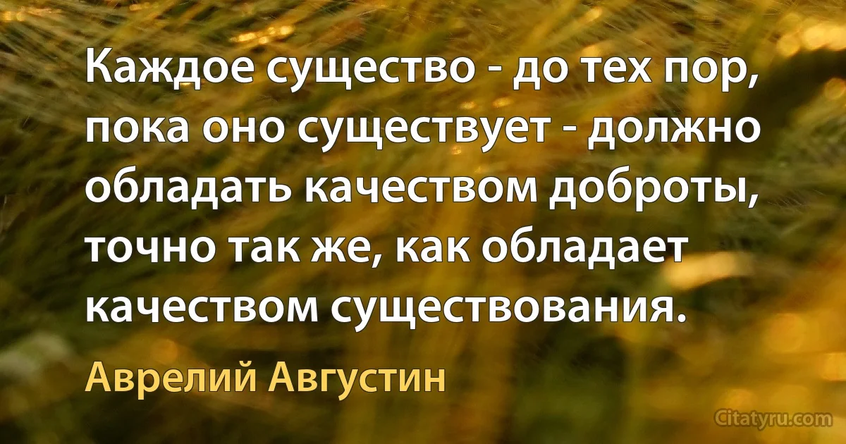 Каждое существо - до тех пор, пока оно существует - должно обладать качеством доброты, точно так же, как обладает качеством существования. (Аврелий Августин)