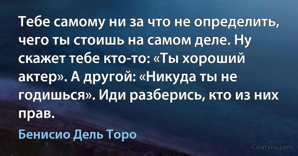 Тебе самому ни за что не определить, чего ты стоишь на самом деле. Ну скажет тебе кто-то: «Ты хороший актер». А другой: «Никуда ты не годишься». Иди разберись, кто из них прав. (Бенисио Дель Торо)