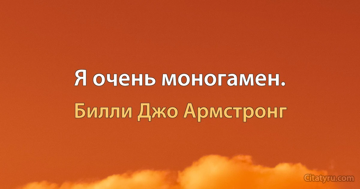 Я очень моногамен. (Билли Джо Армстронг)