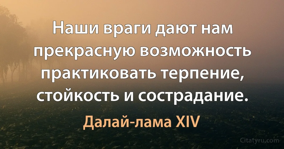 Наши враги дают нам прекрасную возможность практиковать терпение, стойкость и сострадание. (Далай-лама XIV)