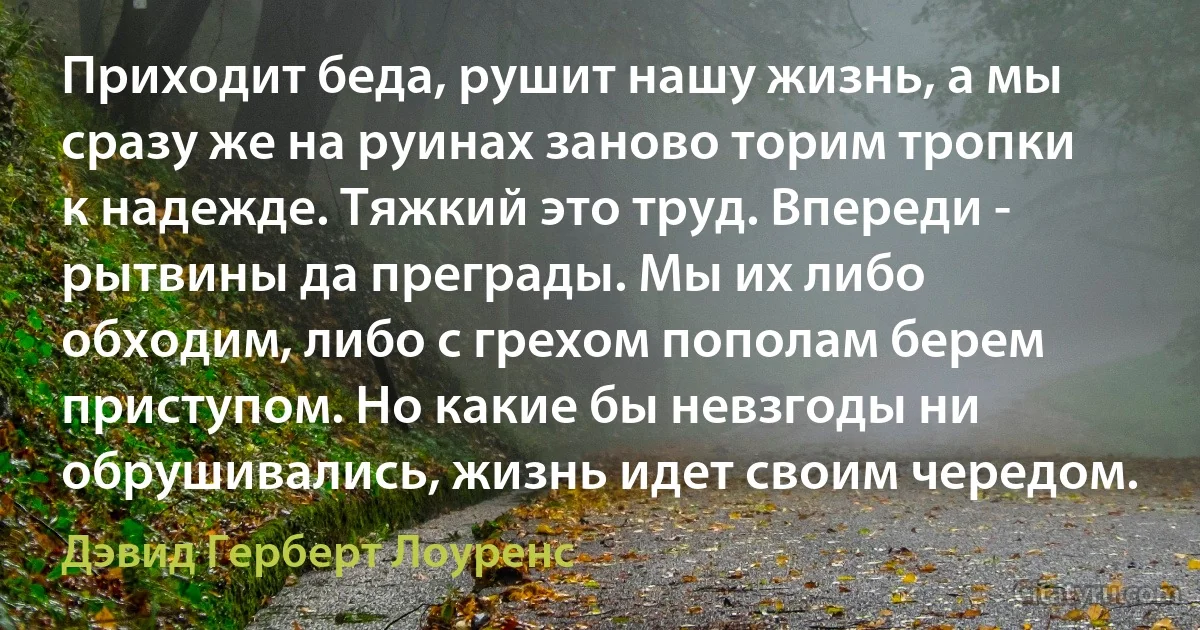 Приходит беда, рушит нашу жизнь, а мы сразу же на руинах заново торим тропки к надежде. Тяжкий это труд. Впереди - рытвины да преграды. Мы их либо обходим, либо с грехом пополам берем приступом. Но какие бы невзгоды ни обрушивались, жизнь идет своим чередом. (Дэвид Герберт Лоуренс)