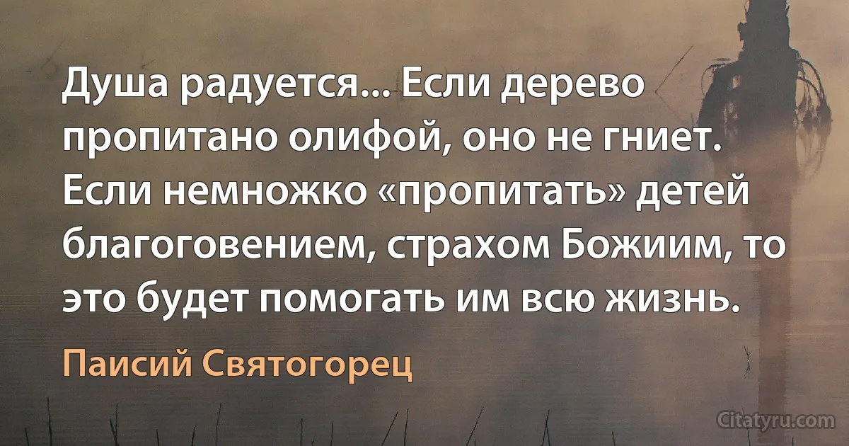 Душа радуется... Если дерево пропитано олифой, оно не гниет. Если немножко «пропитать» детей благоговением, страхом Божиим, то это будет помогать им всю жизнь. (Паисий Святогорец)