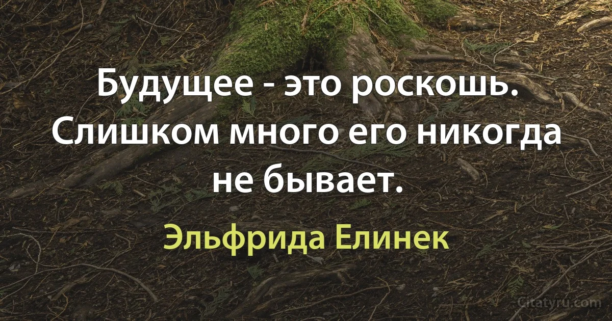 Будущее - это роскошь. Слишком много его никогда не бывает. (Эльфрида Елинек)