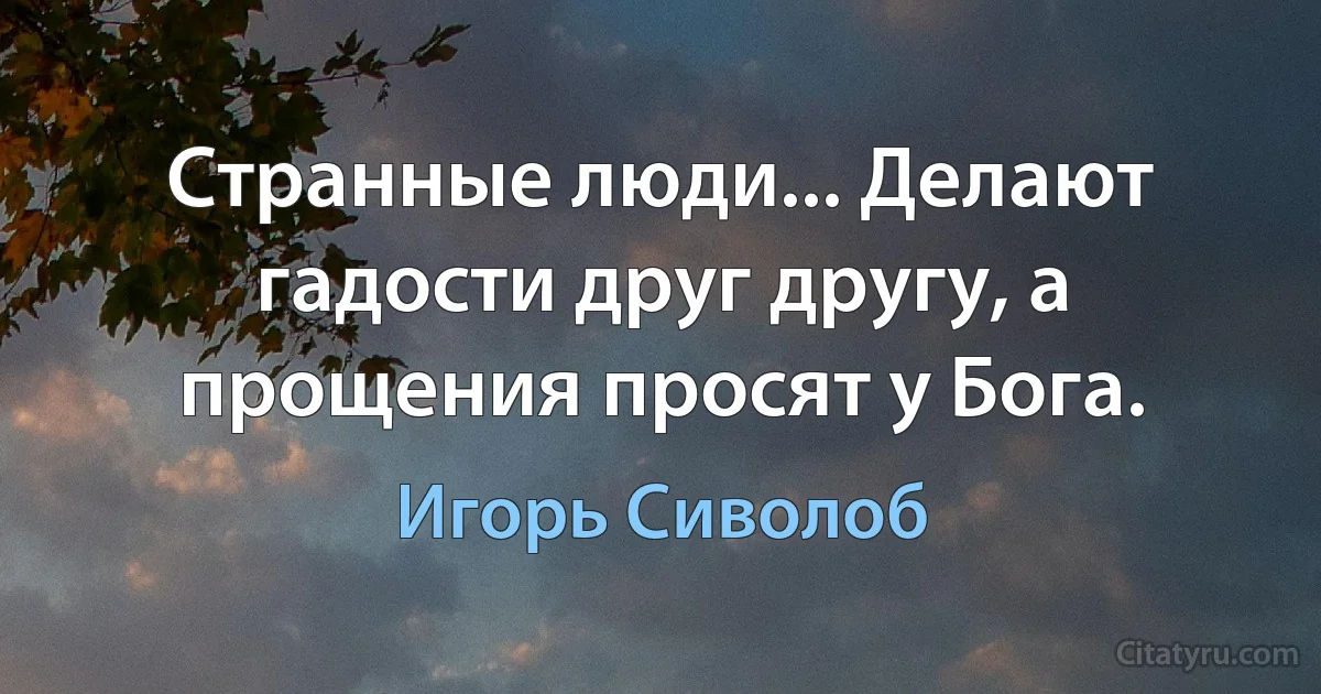 Странные люди... Делают гадости друг другу, а прощения просят у Бога. (Игорь Сиволоб)