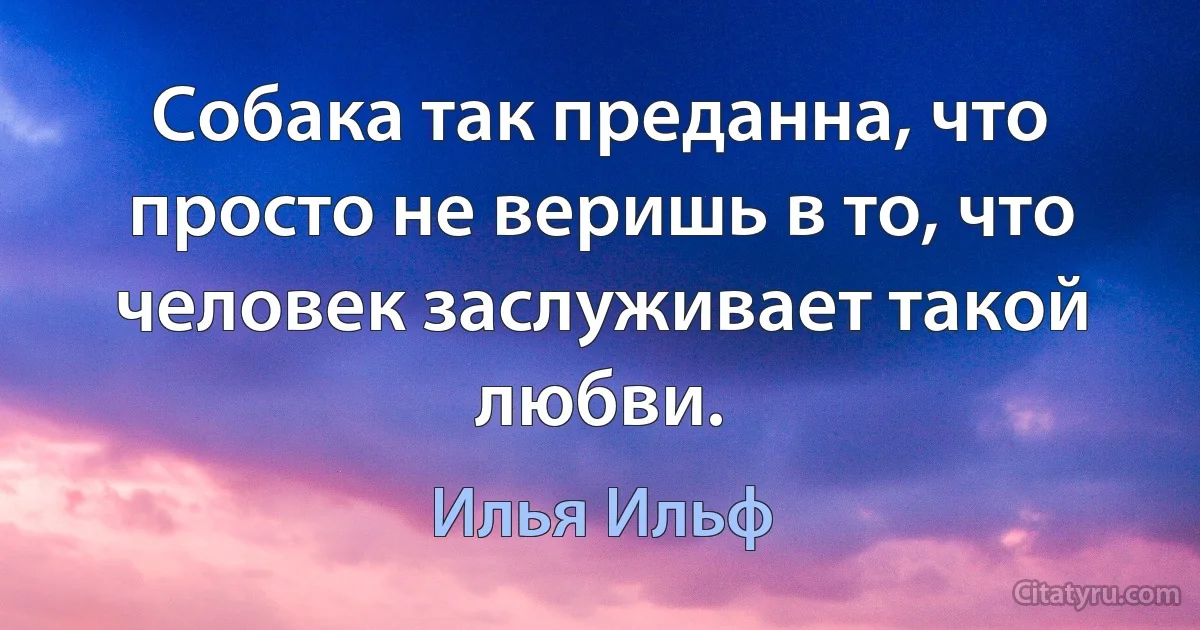 Собака так преданна, что просто не веришь в то, что человек заслуживает такой любви. (Илья Ильф)