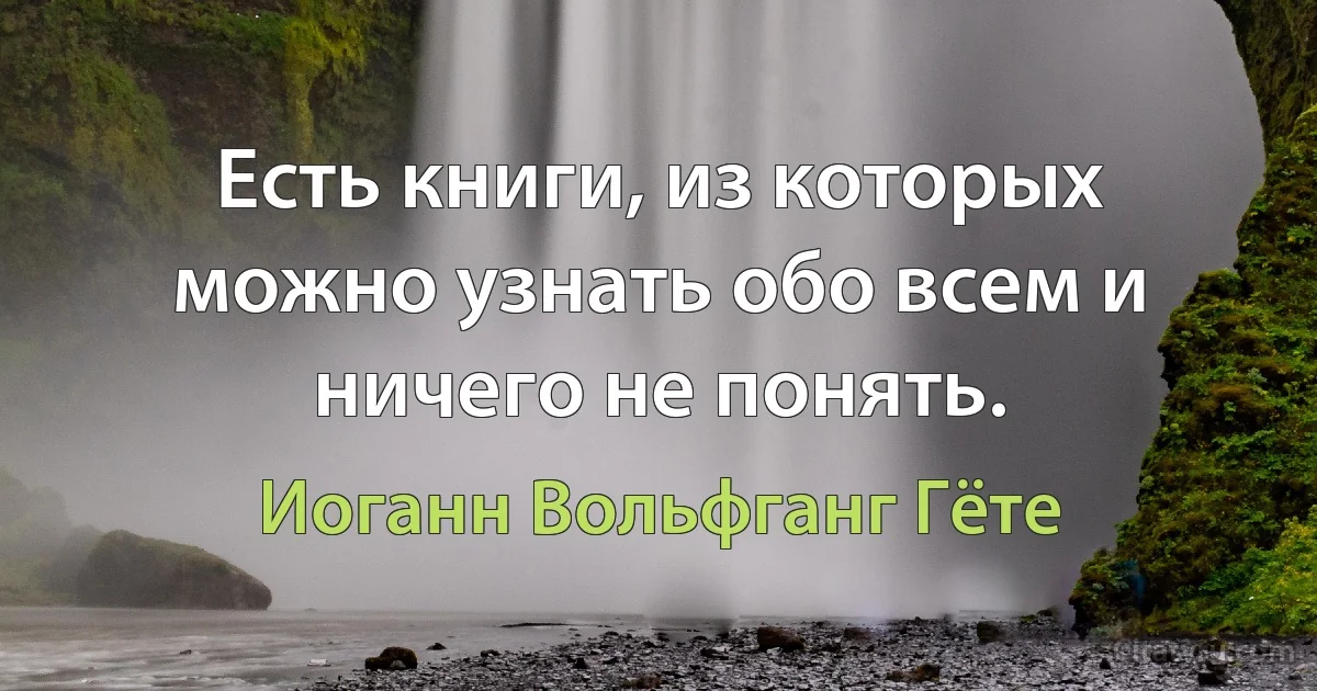 Есть книги, из которых можно узнать обо всем и ничего не понять. (Иоганн Вольфганг Гёте)