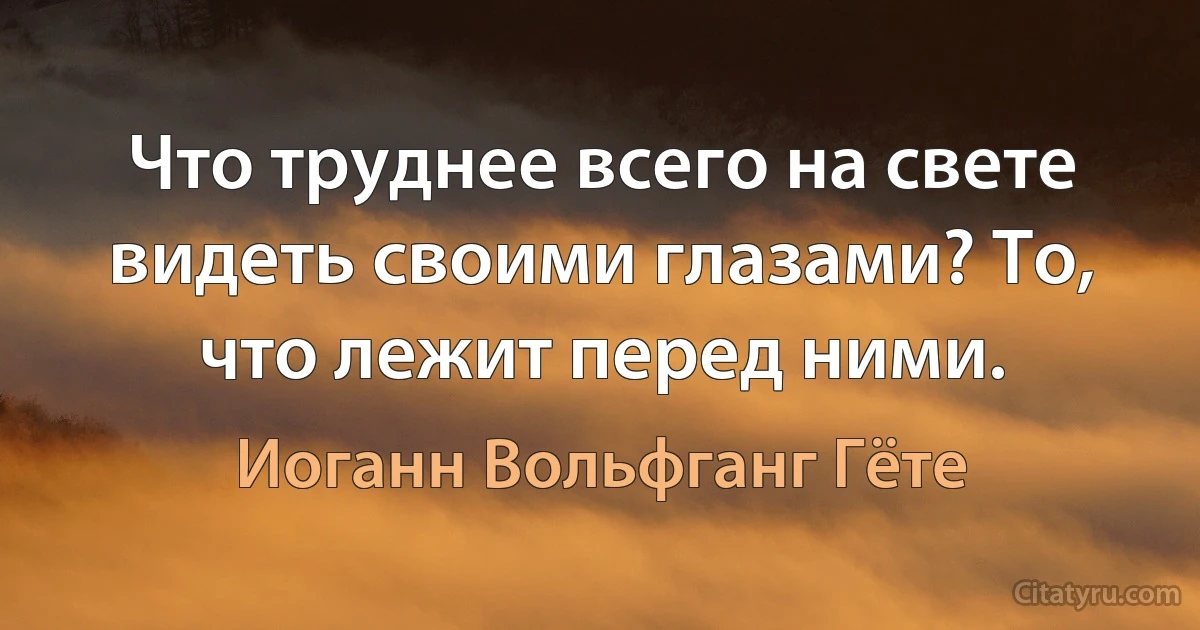 Что труднее всего на свете видеть своими глазами? То, что лежит перед ними. (Иоганн Вольфганг Гёте)