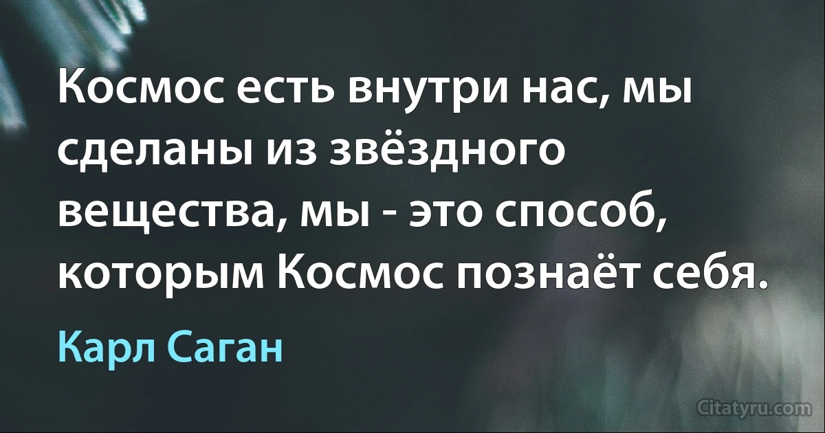 Космос есть внутри нас, мы сделаны из звёздного вещества, мы - это способ, которым Космос познаёт себя. (Карл Саган)