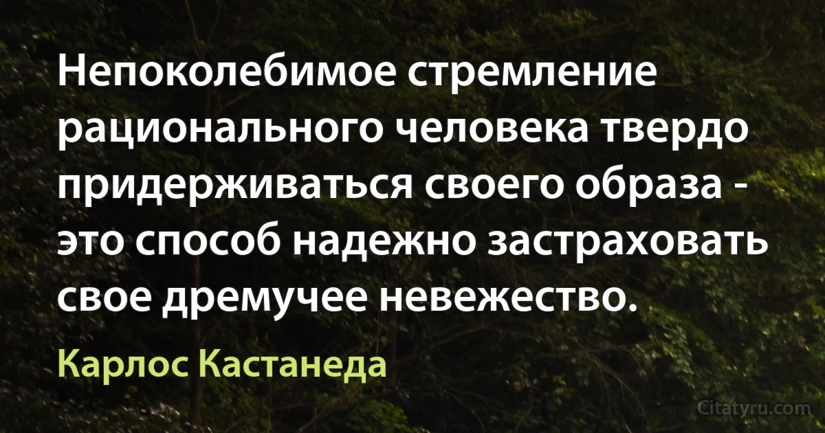 Непоколебимое стремление рационального человека твердо придерживаться своего образа - это способ надежно застраховать свое дремучее невежество. (Карлос Кастанеда)