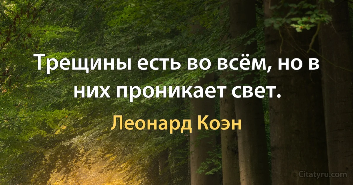 Трещины есть во всём, но в них проникает свет. (Леонард Коэн)