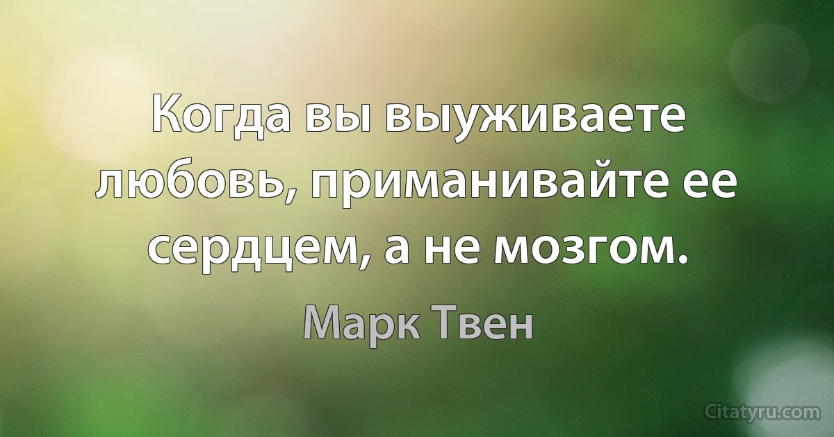 Когда вы выуживаете любовь, приманивайте ее сердцем, а не мозгом. (Марк Твен)