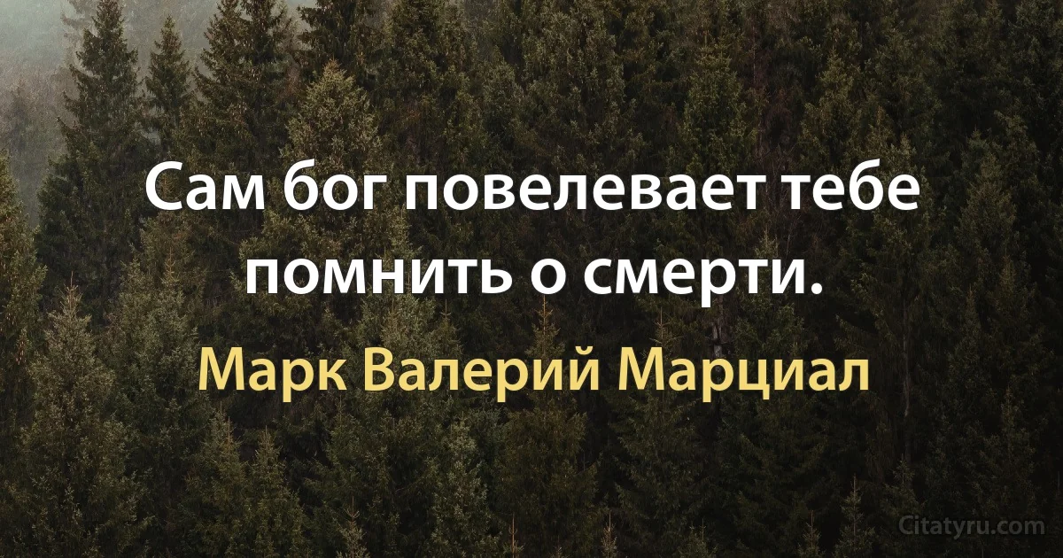 Сам бог повелевает тебе помнить о смерти. (Марк Валерий Марциал)