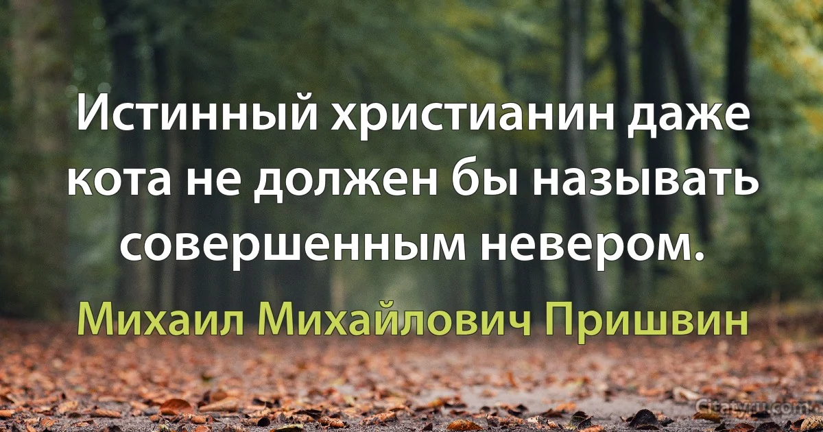 Истинный христианин даже кота не должен бы называть совершенным невером. (Михаил Михайлович Пришвин)