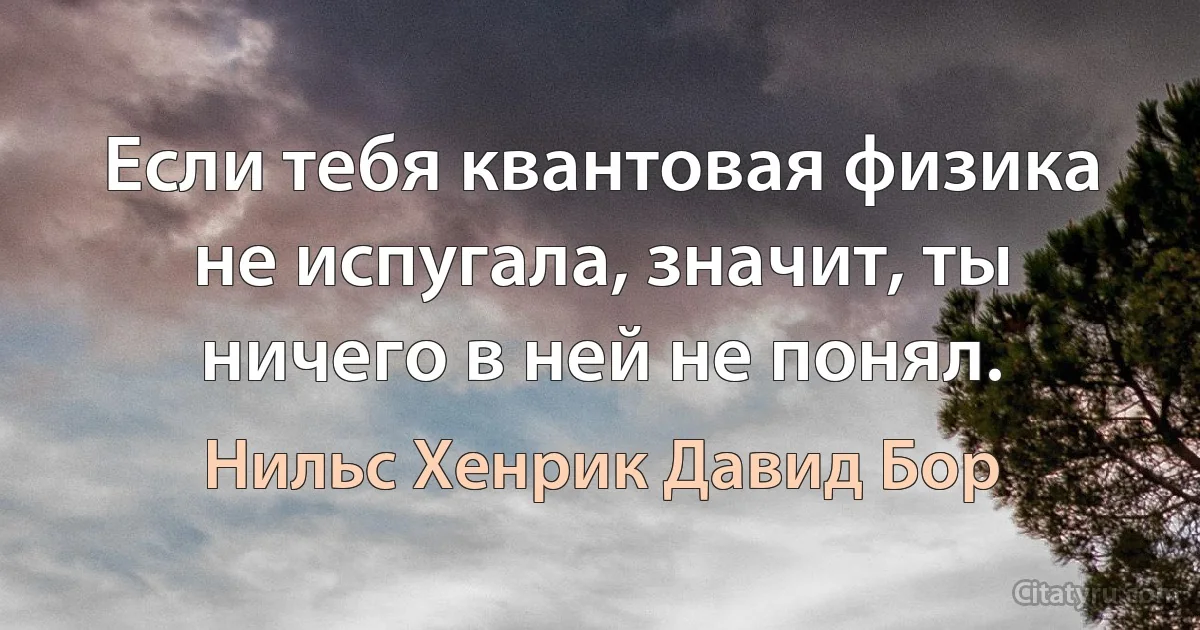 Если тебя квантовая физика не испугала, значит, ты ничего в ней не понял. (Нильс Хенрик Давид Бор)