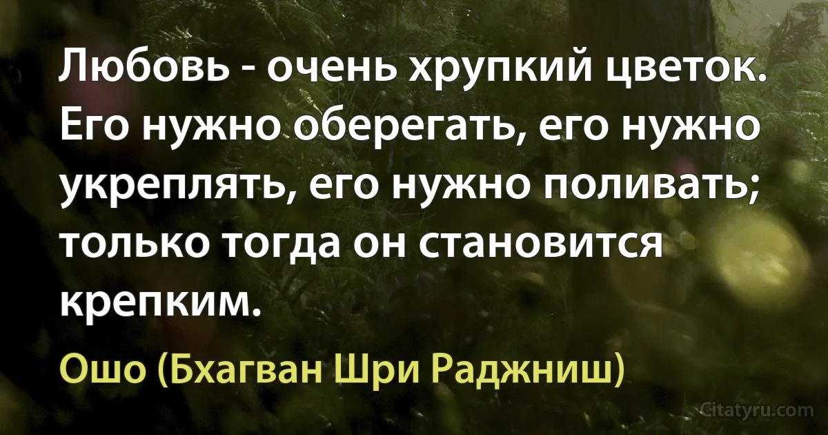 Любовь - очень хрупкий цветок. Его нужно оберегать, его нужно укреплять, его нужно поливать; только тогда он становится крепким. (Ошо (Бхагван Шри Раджниш))