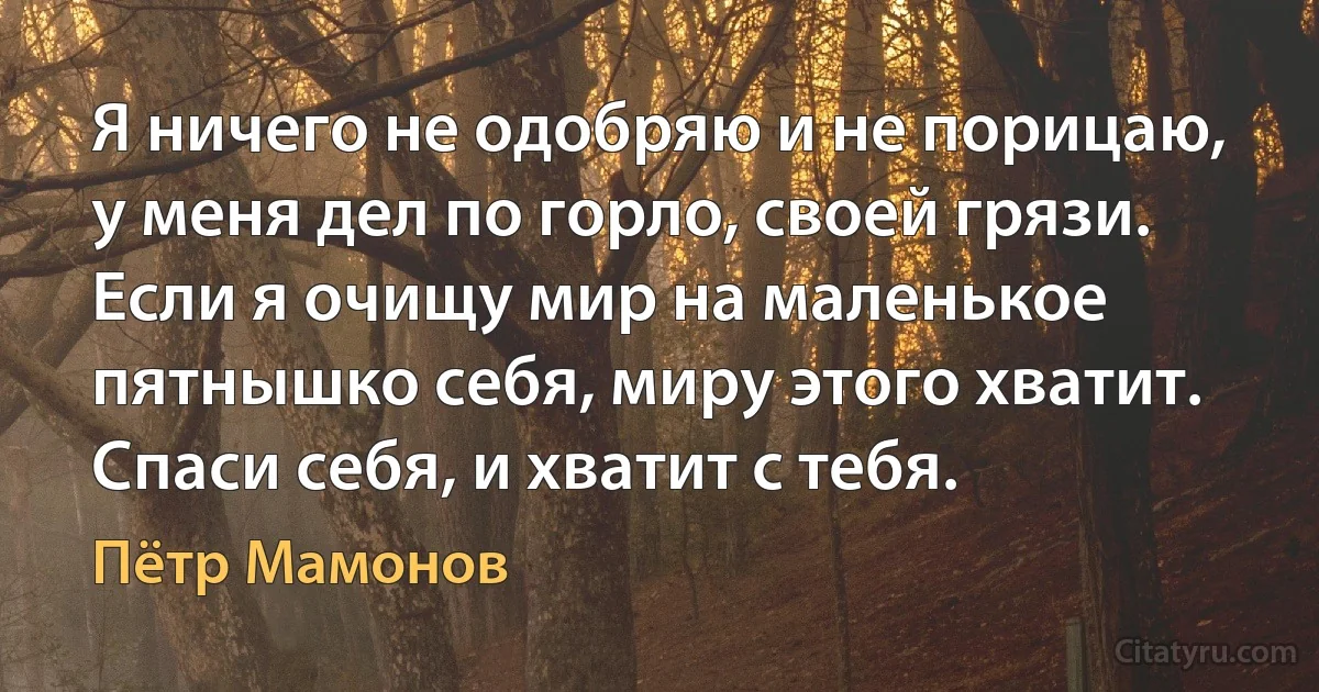 Я ничего не одобряю и не порицаю, у меня дел по горло, своей грязи. Если я очищу мир на маленькое пятнышко себя, миру этого хватит. Спаси себя, и хватит с тебя. (Пётр Мамонов)