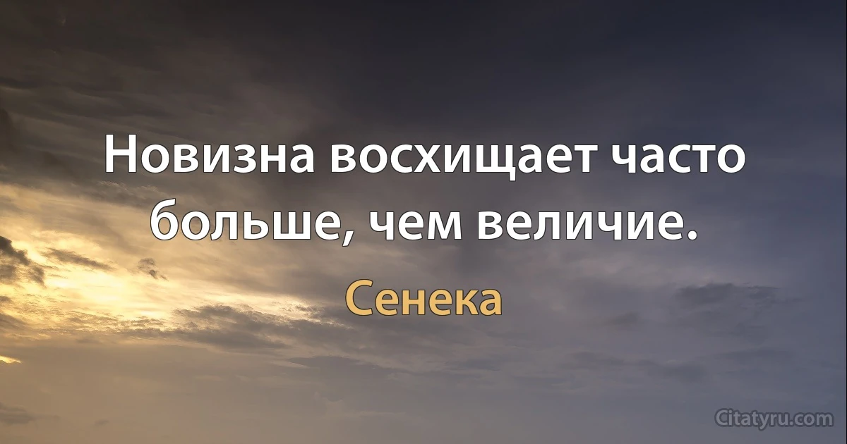 Новизна восхищает часто больше, чем величие. (Сенека)