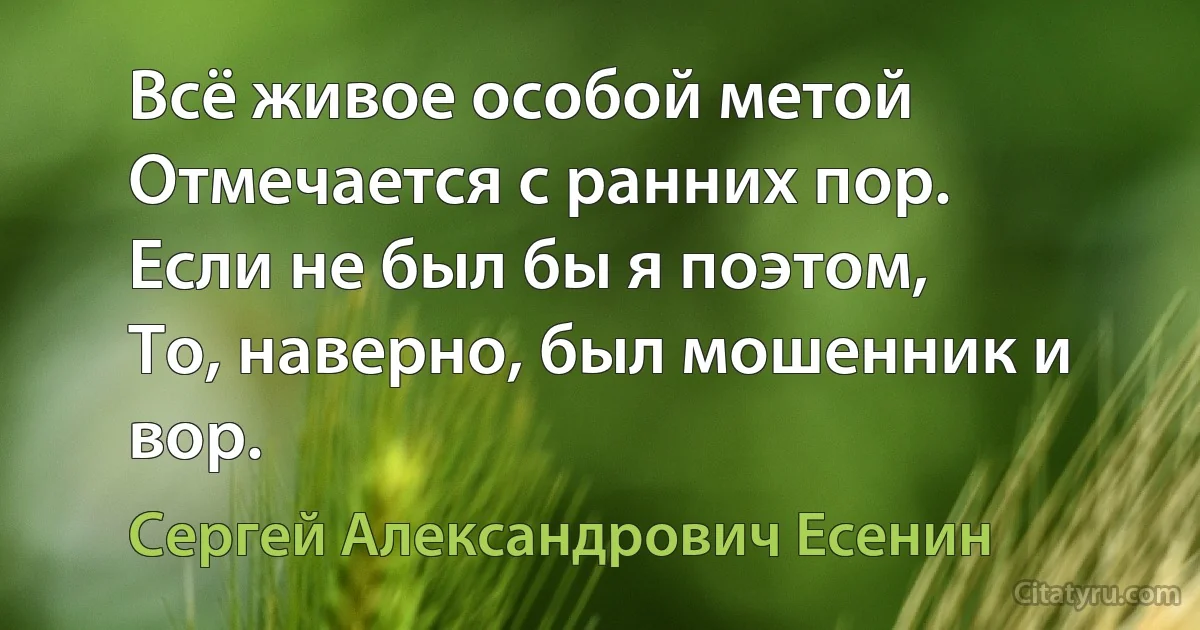 Всё живое особой метой
Отмечается с ранних пор.
Если не был бы я поэтом,
То, наверно, был мошенник и вор. (Сергей Александрович Есенин)