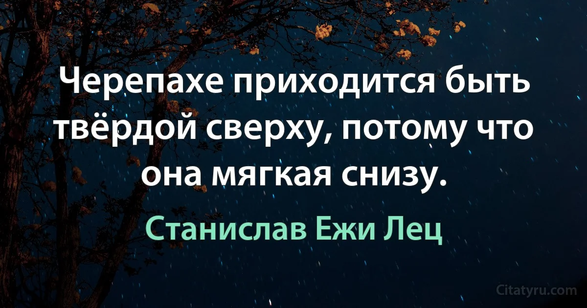 Черепахе приходится быть твёрдой сверху, потому что она мягкая снизу. (Станислав Ежи Лец)