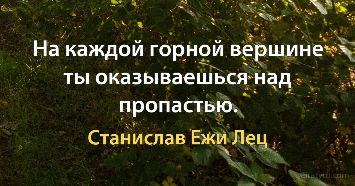 На каждой горной вершине ты оказываешься над пропастью. (Станислав Ежи Лец)