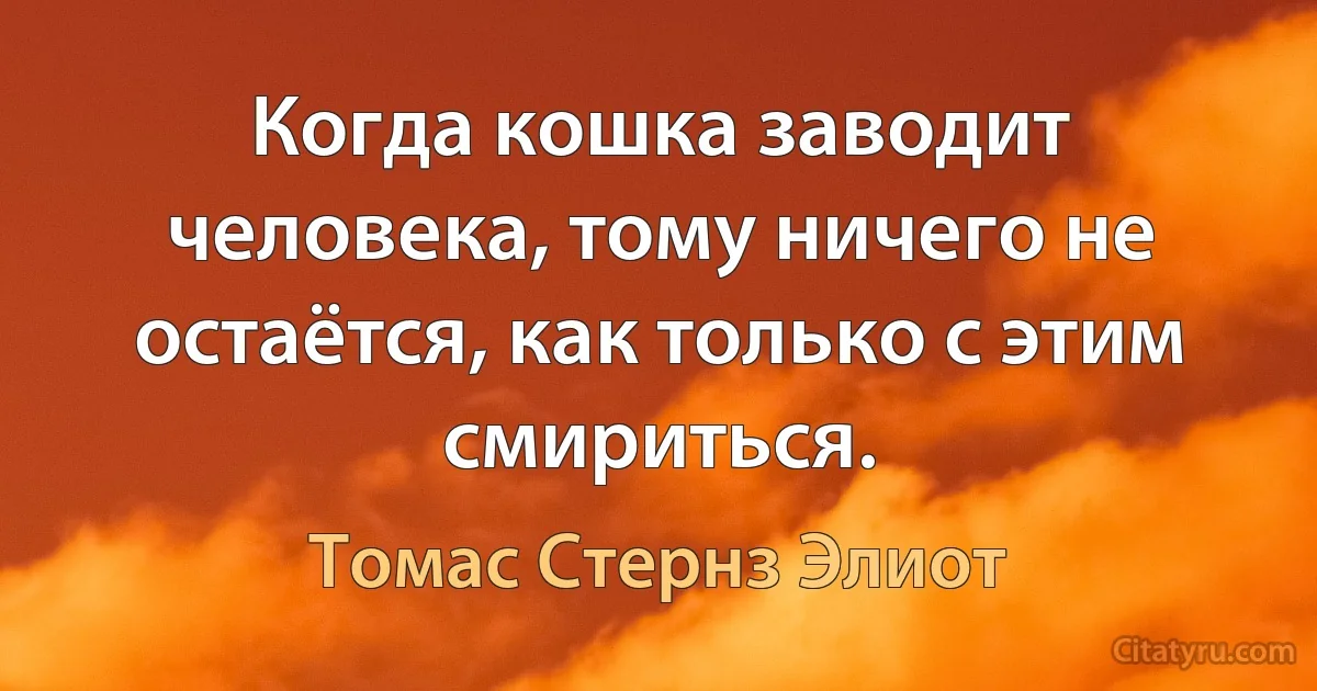 Когда кошка заводит человека, тому ничего не остаётся, как только с этим смириться. (Томас Стернз Элиот)