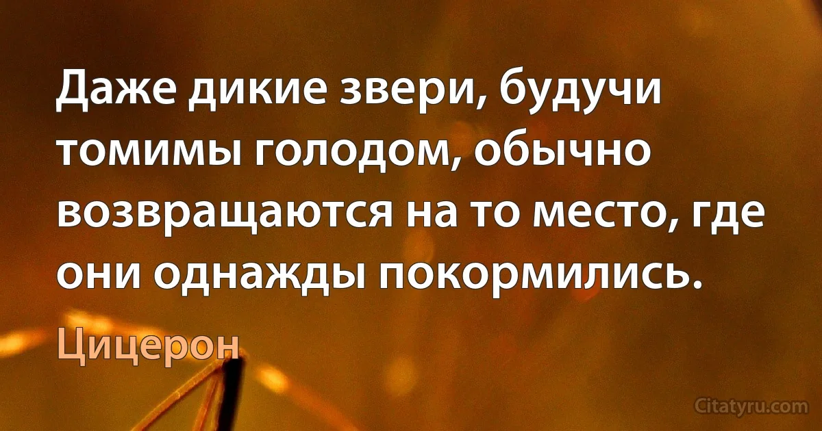 Даже дикие звери, будучи томимы голодом, обычно возвращаются на то место, где они однажды покормились. (Цицерон)