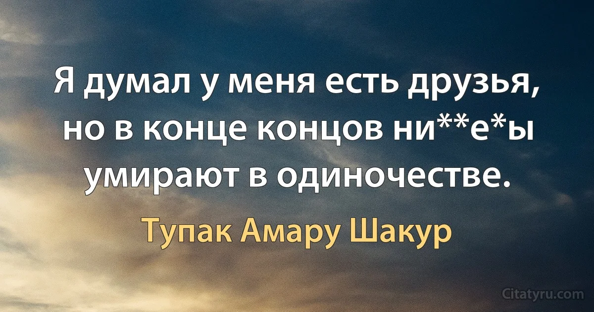 Я думал у меня есть друзья, но в конце концов ни**е*ы умирают в одиночестве. (Тупак Амару Шакур)