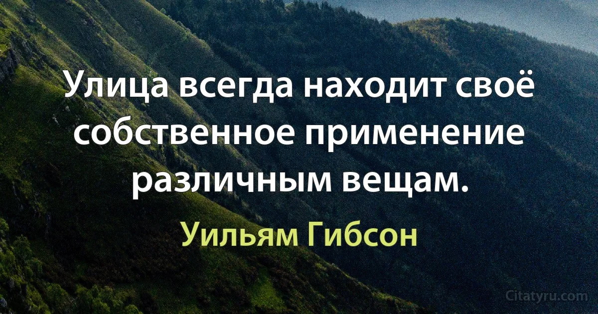 Улица всегда находит своё собственное применение различным вещам. (Уильям Гибсон)