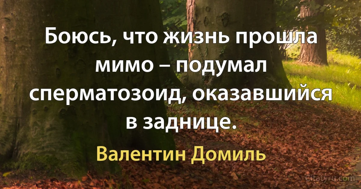 Боюсь, что жизнь прошла мимо – подумал сперматозоид, оказавшийся в заднице. (Валентин Домиль)