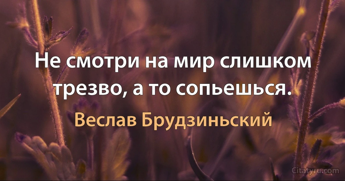 Не смотри на мир слишком трезво, а то сопьешься. (Веслав Брудзиньский)